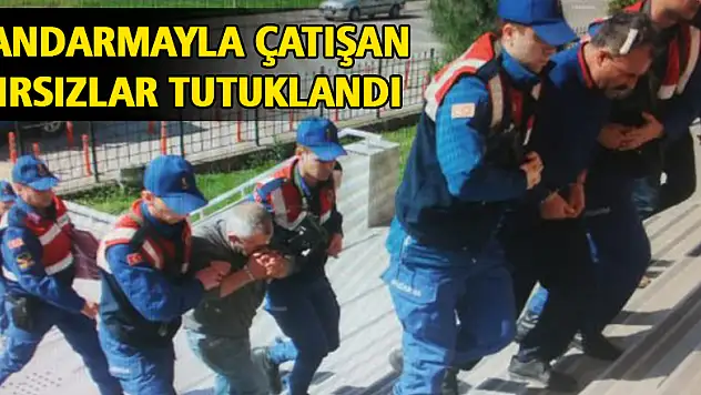 Jandarmayla çatışan hırsızlar tutuklandı