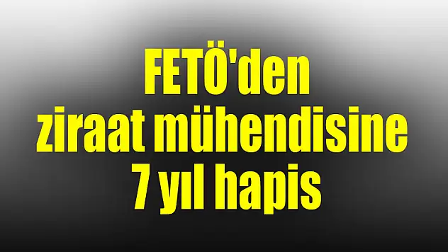Samsun'da FETÖ'den ziraat mühendisine 7 yıl hapis 