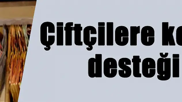 Çiftçilere koyun ve düve desteği müjdesi