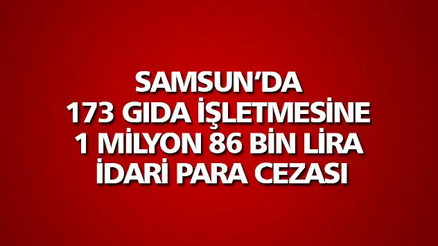 Samsun'da 173 gıda işletmesine 1 milyon 86 bin lira idari para cezası