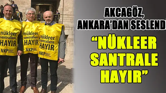 'NÜKLEER SANTRALE HAYIR'
