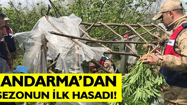 Jandarma'dan sezonun ilk hasadı!