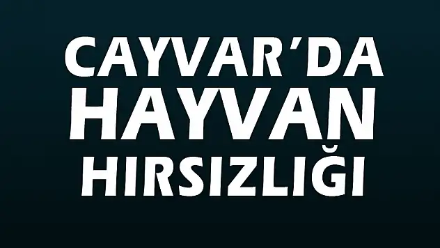Cayvar'da hayvan hırsızlığı