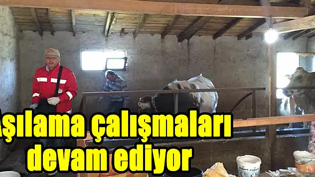Aşılama çalışmaları devam ediyor