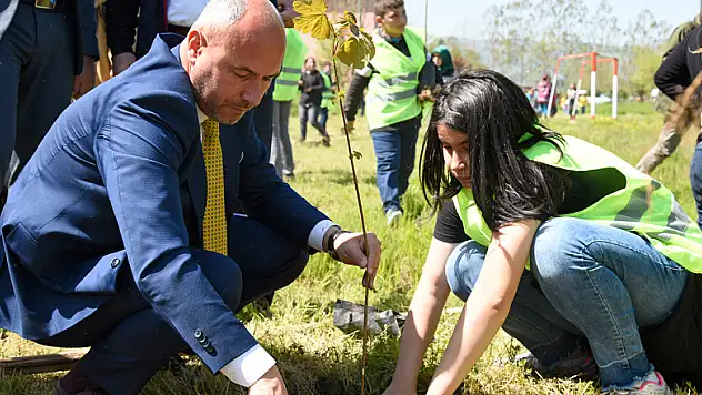 Tekkeköy Yeşille Bütünleşti