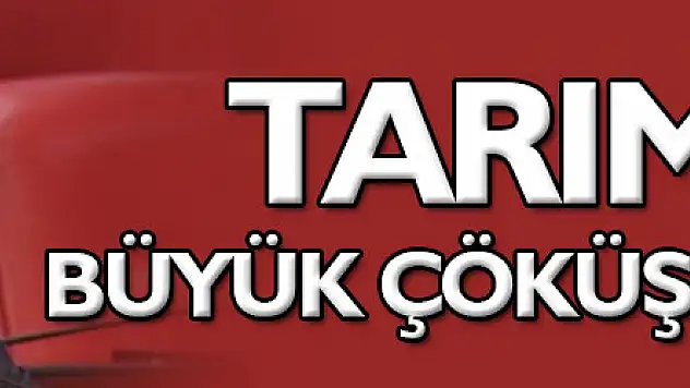 TARIMDA BÜYÜK ÇÖKÜŞ YAŞANIYOR