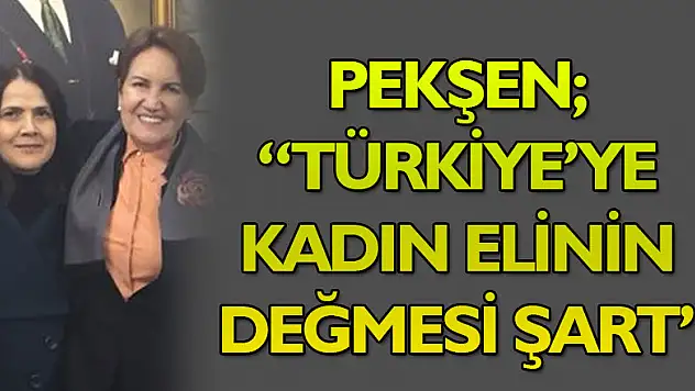 Pekşen 'Türkiye'ye kadın elinin değmesi şart'
