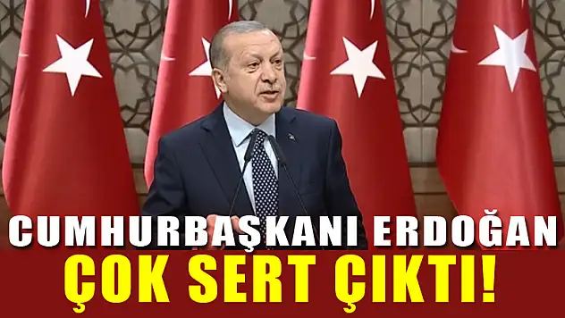 Cumhurbaşkanı Erdoğan konuşuyor...