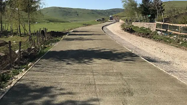 Ordu'da Yeşil Yol'da yaylalar birleşiyor