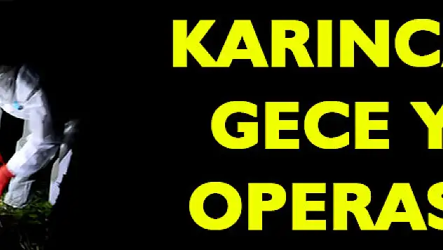 Karıncalara gece yarısı operasyonu