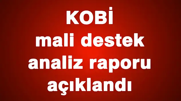 KOBİ mali destek analiz raporu açıklandı
