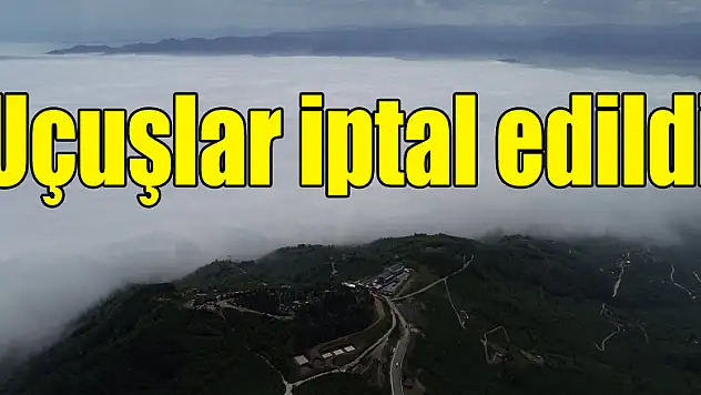  Ordu'yu sis aldı, uçuşlar iptal oldu 