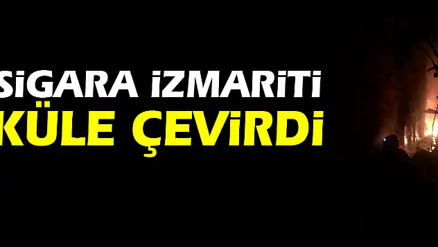 Sigara izmariti küle çevirdi