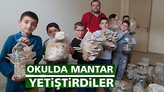 Okulda mantar yetiştirdiler