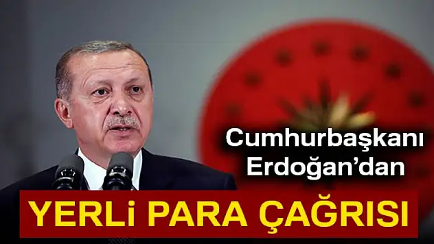 Cumhurbaşkanı Erdoğan'dan yerli para çağrısı