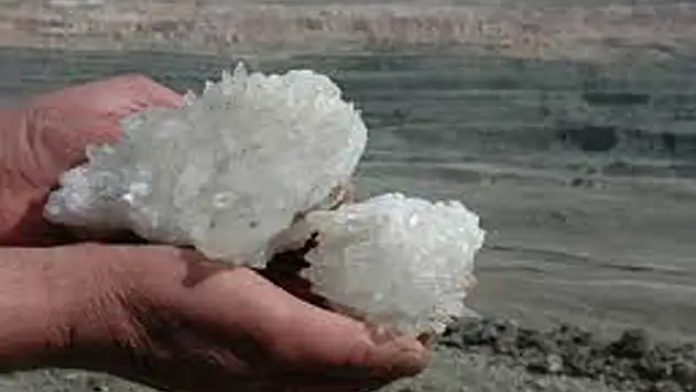 BOR İÇİN HAREKETE GEÇİLİYOR