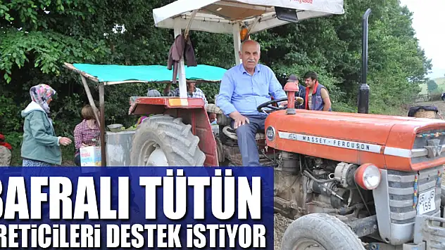 Bafralı tütün üreticileri destek istiyor