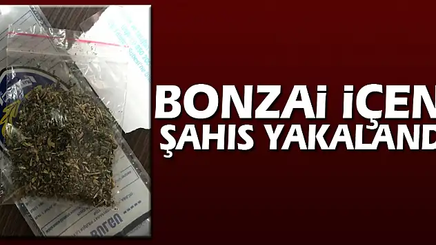 Bonzai içen şahıs yakalandı