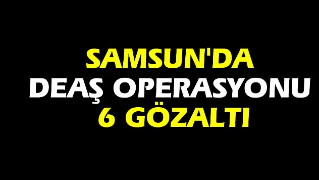 Samsun'da DEAŞ operasyonu: 6 gözaltı
