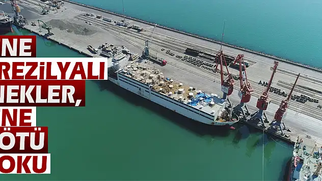 Yine Brezilyalı inekler, yine kötü koku