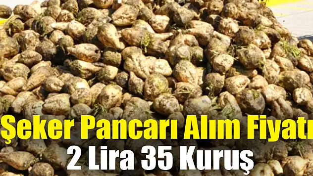 Şeker Pancarı Alım Fiyatı 2 Lira 35 Kuruş