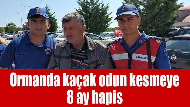 Ormanda kaçak odun kesmeye 8 ay hapis 