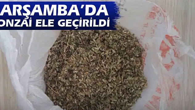 ÇARŞAMBA'DA BONZAİ ELE GEÇİRİLDİ