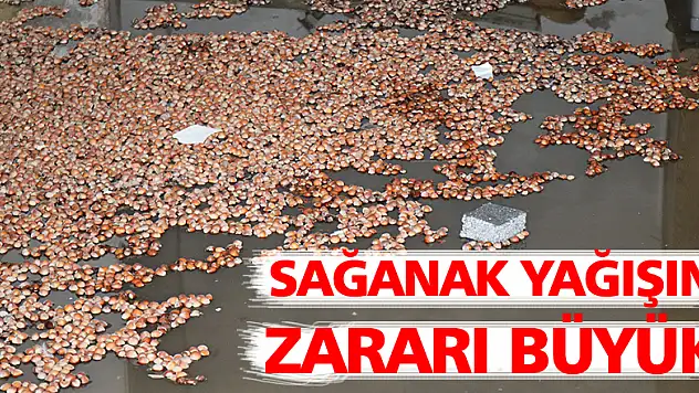 Sağanak yağışın zararı büyük