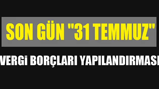 Vergi borçları yapılandırması için son gün '31 Temmuz' 