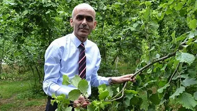 Üreticilere rekolte uyarısı