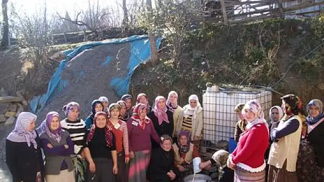 Edirne tipi peynir kursları sürüyor