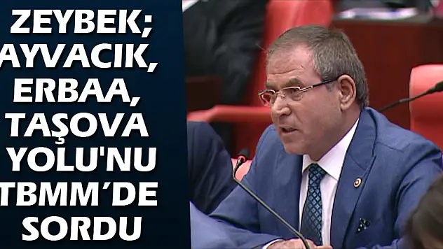 ZeybekAyvacık, Erbaa, Taşova Yolu'nu TBMM'de sordu