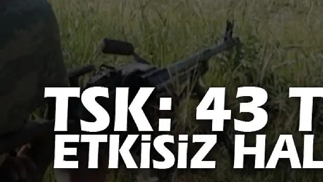 TSK: 43 terörist etkisiz hale getirildi