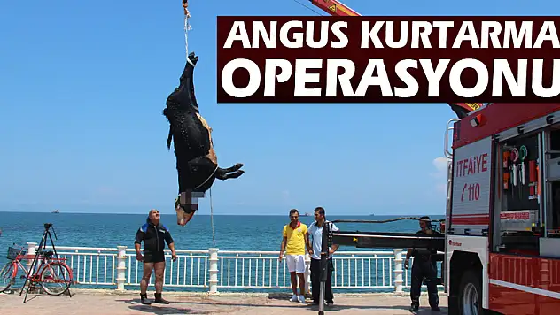 Gemiden denize düşen angusu kurtarma operasyonu 