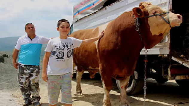 15 Temmuz doğumlu dev boğayı alana, yanında 3 boğa hediye