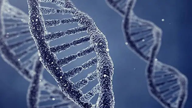 Hepatit, gerekli önlemler alınmadığında ölümcül olabiliyor