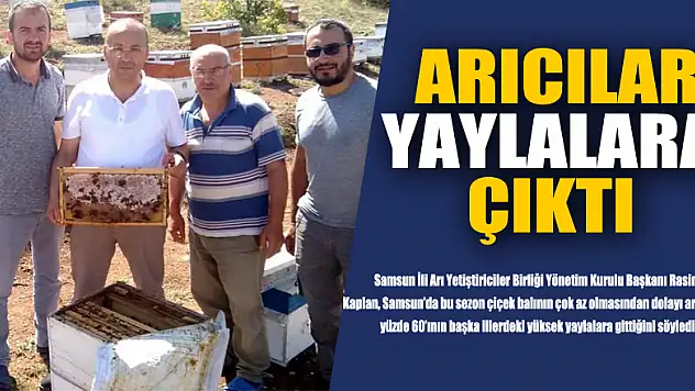 Samsunlu arıcılar yaylalara çıktı 