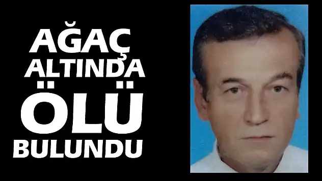 Ağaç altında ölü bulundu