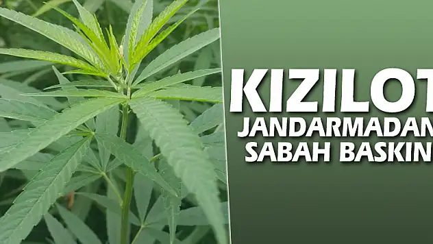 Kızılot Jandarmadan Sabah baskını