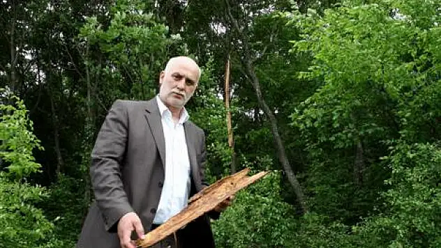 At çifliğine yıldırım düştü