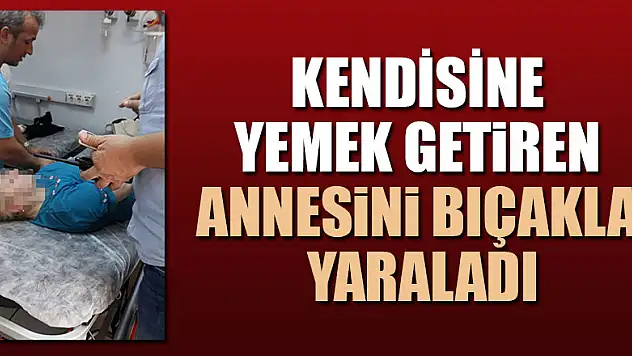 Kendisine yemek getiren annesini bıçakla yaraladı