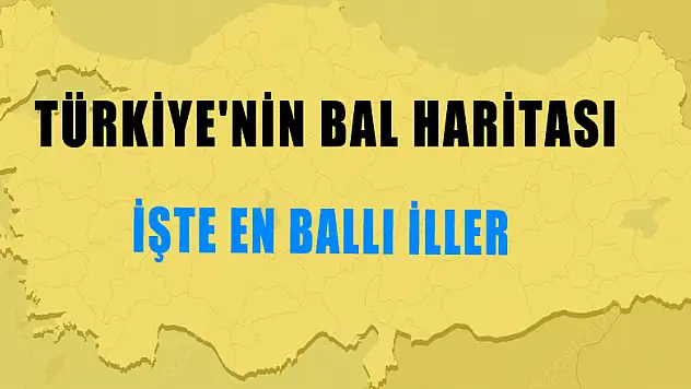 Türkiye'nin bal haritası 