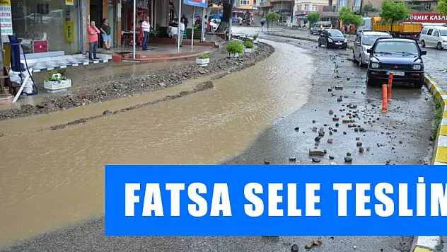 Fatsa sele teslim 