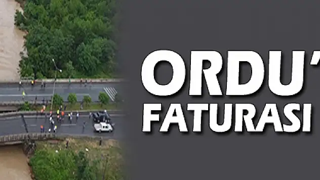 Ordu'da selin faturası 165 milyon TL
