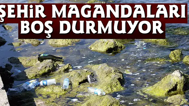 Şehir magandaları boş durmuyor