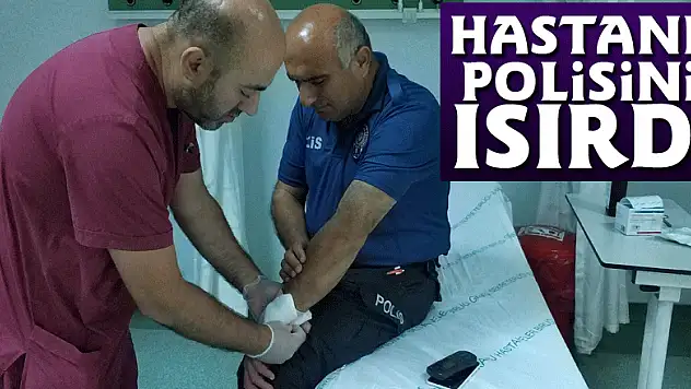 Hastane polisini ısırarak hastanelik etti