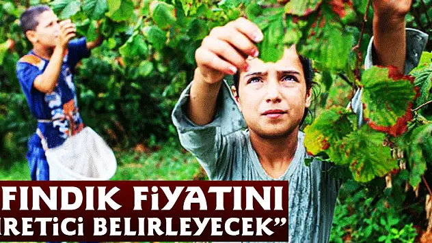  'Fındık fiyatını üretici belirleyecek'