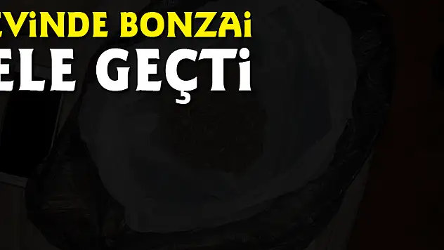 Evinde bonzai ele geçti