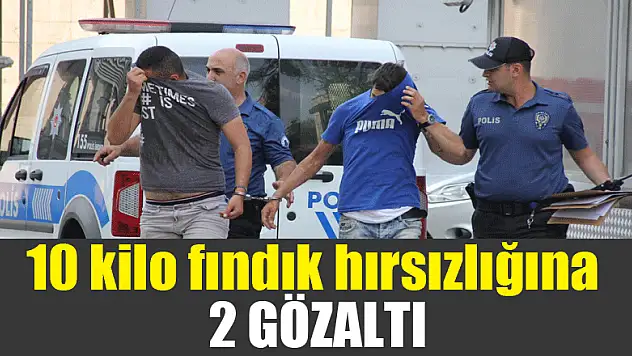 10 kilo fındık hırsızlığına 2 gözaltı 