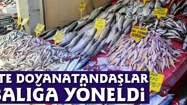 Ete doyan vatandaşlar balığa yöneldi